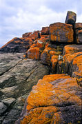 SC143 City Rock area, Ben Boyd National Park NSW